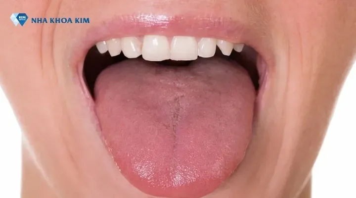 Tải Xuống Hình Ảnh Khỏe Mạnh Miễn Phí Bản Quyền Cho Nhà Thiết Kế: Tổng Hợp Ảnh Sức Khỏe Và Lối Sống Lành Mạnh