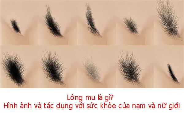 Tổng Hợp Hình Ảnh Khoe Dáng M.u Dành Cho Cđv Quỷ Đỏ Kèm Bộ Sưu Tập Hình Nền Tổng Hợp Hình Ảnh Khoe Dáng M.u Dành Cho Cđv Quỷ Đỏ Kèm Bộ Sưu Tập Hình Nền
