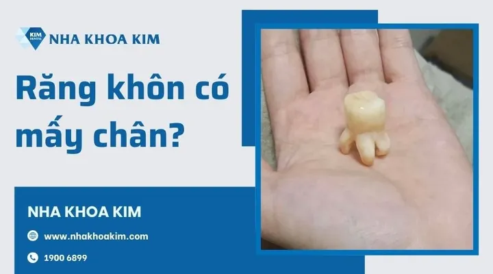 Tổng Hợp Nguồn Tải Hình Ảnh Khốn Nạn: Ảnh Nền, Png Và Khốn Khổ Cho Người Dùng