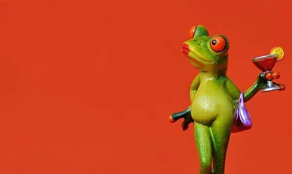 Phân Tích Ý Nghĩa Và Biểu Hiện Của Hình Ảnh Kiêu Ngạo Cho Độc Giả So Với Kiêu Hãnh