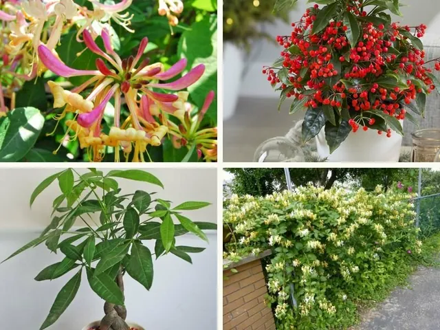 Xem Hình Ảnh Ca Sĩ Kim Ngân: Từ Biểu Tượng Nhan Sắc Đến Cảnh Lang Thang Trái Ngược Cho Người Hâm Mộ
