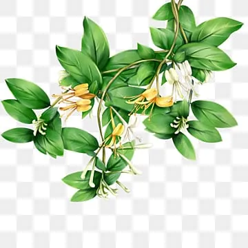 Xem Hình Ảnh Ca Sĩ Kim Ngân: Từ Biểu Tượng Nhan Sắc Đến Cảnh Lang Thang Trái Ngược Cho Người Hâm Mộ