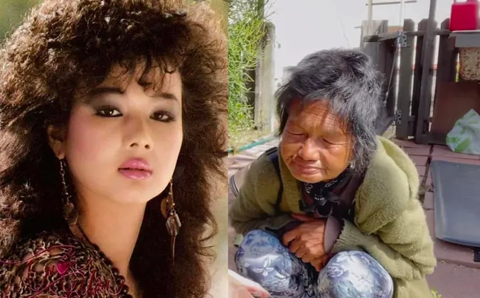 Xem Hình Ảnh Ca Sĩ Kim Ngân: Từ Biểu Tượng Nhan Sắc Đến Cảnh Lang Thang Trái Ngược Cho Người Hâm Mộ