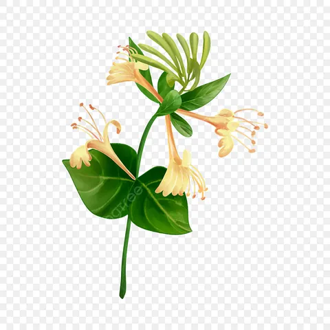 Xem Hình Ảnh Ca Sĩ Kim Ngân: Từ Biểu Tượng Nhan Sắc Đến Cảnh Lang Thang Trái Ngược Cho Người Hâm Mộ