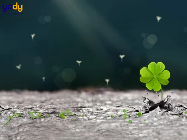 Tải Xuống Hình Ảnh Lá Đẹp Miễn Phí: Tổng Hợp Hình Nền Lá Cây Cho Điện Thoại Và Máy Tính