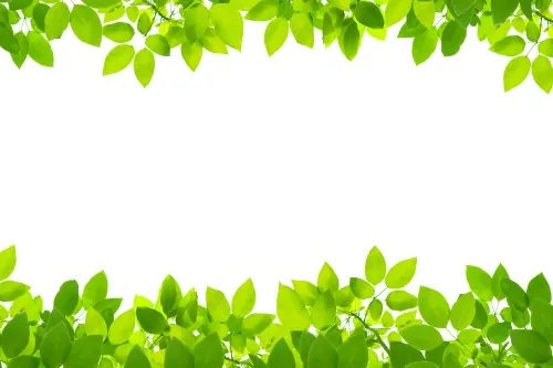 Tải Xuống Hình Ảnh Lá Đẹp Miễn Phí: Tổng Hợp Hình Nền Lá Cây Cho Điện Thoại Và Máy Tính