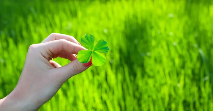 Tải Xuống Hình Ảnh Lá Đẹp Miễn Phí: Tổng Hợp Hình Nền Lá Cây Cho Điện Thoại Và Máy Tính