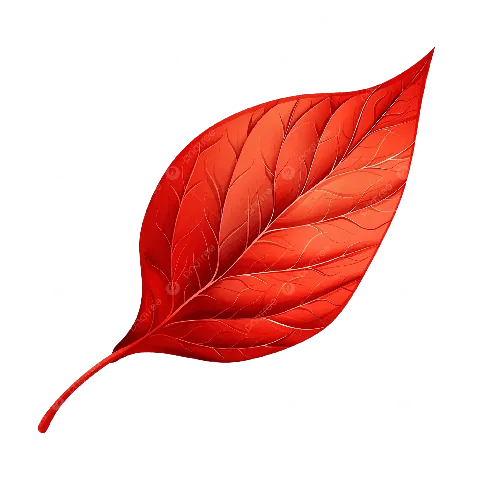 Phân Tích Ý Nghĩa Biểu Tượng Và Hình Ảnh Trực Quan Hình Ảnh Lá Đỏ Cho Người Yêu Văn Học Và Nhiếp Ảnh Qua Meronym Rừng Lá Đỏ