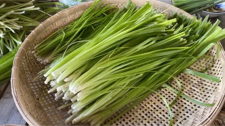 Nhận Diện Hình Ảnh Và Công Dụng Sức Khỏe Của Lá Hẹ (cửu Thái) Cho Người Nội Trợ Nhận Diện Hình Ảnh Và Công Dụng Sức Khỏe Của Lá Hẹ (cửu Thái) Cho Người Nội Trợ