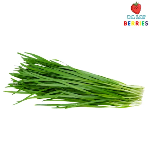 Nhận Diện Hình Ảnh Và Công Dụng Sức Khỏe Của Lá Hẹ (cửu Thái) Cho Người Nội Trợ Nhận Diện Hình Ảnh Và Công Dụng Sức Khỏe Của Lá Hẹ (cửu Thái) Cho Người Nội Trợ