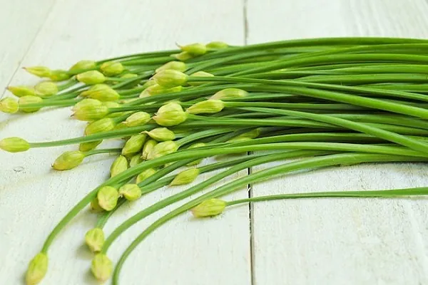 Nhận Diện Hình Ảnh Và Công Dụng Sức Khỏe Của Lá Hẹ (cửu Thái) Cho Người Nội Trợ Nhận Diện Hình Ảnh Và Công Dụng Sức Khỏe Của Lá Hẹ (cửu Thái) Cho Người Nội Trợ