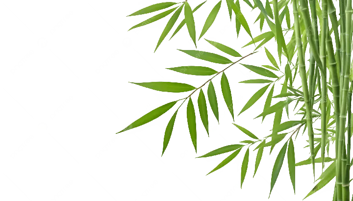 Tải Hình Ảnh Lá Tre (vector, Png) Miễn Phí Kèm Ý Nghĩa Cho Nhà Thiết Kế Tải Hình Ảnh Lá Tre (vector, Png) Miễn Phí Kèm Ý Nghĩa Cho Nhà Thiết Kế