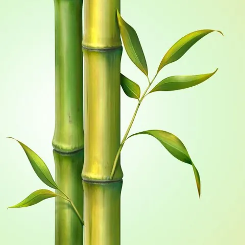 Tải Hình Ảnh Lá Tre (vector, Png) Miễn Phí Kèm Ý Nghĩa Cho Nhà Thiết Kế Tải Hình Ảnh Lá Tre (vector, Png) Miễn Phí Kèm Ý Nghĩa Cho Nhà Thiết Kế