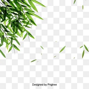 Tải Hình Ảnh Lá Tre (vector, Png) Miễn Phí Kèm Ý Nghĩa Cho Nhà Thiết Kế Tải Hình Ảnh Lá Tre (vector, Png) Miễn Phí Kèm Ý Nghĩa Cho Nhà Thiết Kế