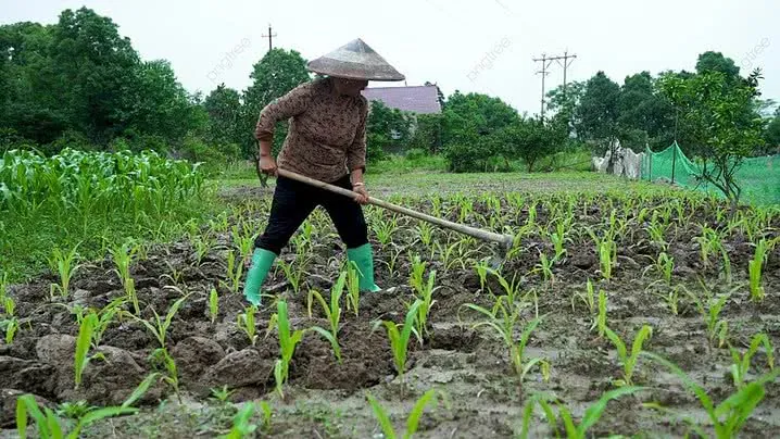 Tổng Hợp Hình Ảnh Làm Đất Đẹp Nhất: Từ Đất Sét Tự Khô Đến Đất Nông Nghiệp Cho Người Yêu Thủ Công Và Làm Vườn Tổng Hợp Hình Ảnh Làm Đất Đẹp Nhất: Từ Đất Sét Tự Khô Đến Đất Nông Nghiệp Cho Người Yêu Thủ Công Và Làm Vườn
