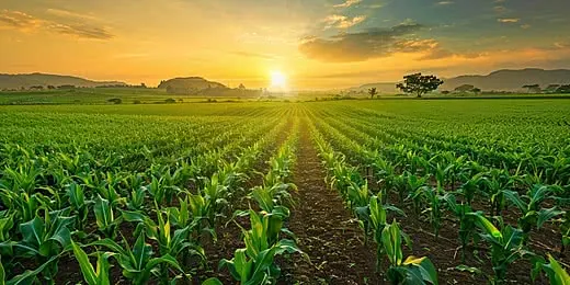 Tổng Hợp Hình Ảnh Làm Đất Đẹp Nhất: Từ Đất Sét Tự Khô Đến Đất Nông Nghiệp Cho Người Yêu Thủ Công Và Làm Vườn Tổng Hợp Hình Ảnh Làm Đất Đẹp Nhất: Từ Đất Sét Tự Khô Đến Đất Nông Nghiệp Cho Người Yêu Thủ Công Và Làm Vườn