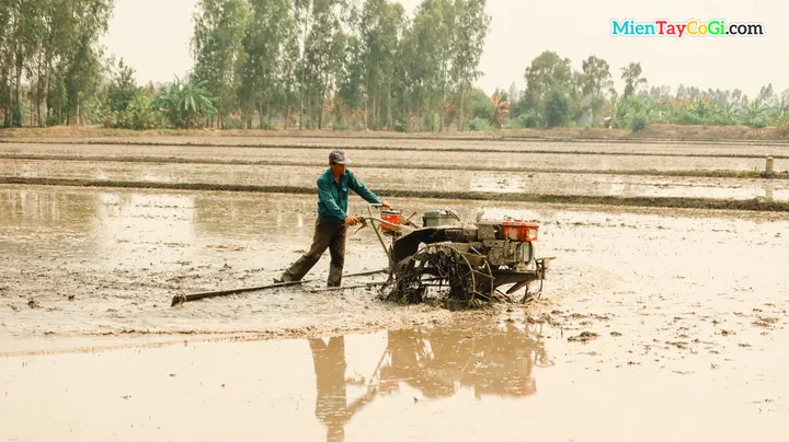 Tổng Hợp Hình Ảnh Làm Đất Đẹp Nhất: Từ Đất Sét Tự Khô Đến Đất Nông Nghiệp Cho Người Yêu Thủ Công Và Làm Vườn Tổng Hợp Hình Ảnh Làm Đất Đẹp Nhất: Từ Đất Sét Tự Khô Đến Đất Nông Nghiệp Cho Người Yêu Thủ Công Và Làm Vườn