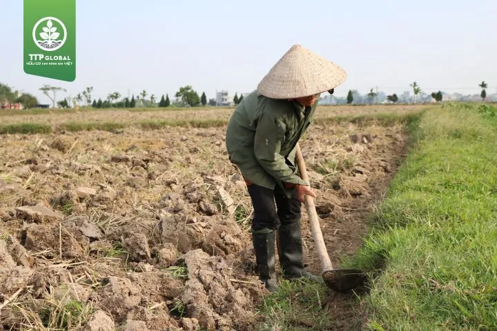 Tổng Hợp Hình Ảnh Làm Đất Đẹp Nhất: Từ Đất Sét Tự Khô Đến Đất Nông Nghiệp Cho Người Yêu Thủ Công Và Làm Vườn Tổng Hợp Hình Ảnh Làm Đất Đẹp Nhất: Từ Đất Sét Tự Khô Đến Đất Nông Nghiệp Cho Người Yêu Thủ Công Và Làm Vườn