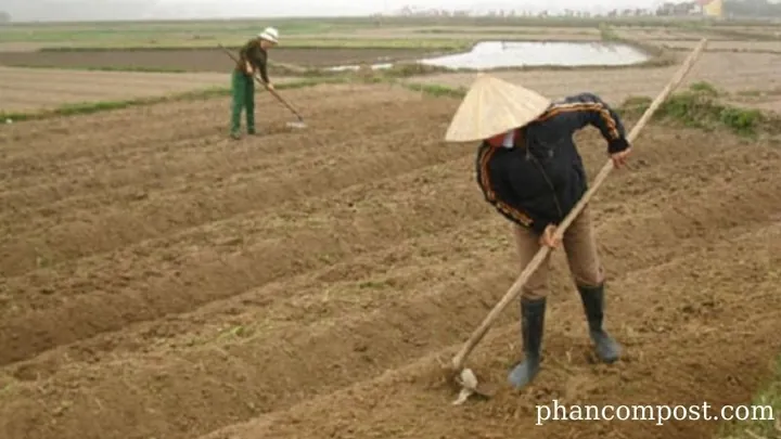 Tổng Hợp Hình Ảnh Làm Đất Đẹp Nhất: Từ Đất Sét Tự Khô Đến Đất Nông Nghiệp Cho Người Yêu Thủ Công Và Làm Vườn Tổng Hợp Hình Ảnh Làm Đất Đẹp Nhất: Từ Đất Sét Tự Khô Đến Đất Nông Nghiệp Cho Người Yêu Thủ Công Và Làm Vườn