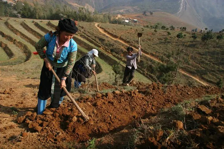 Tổng Hợp Hình Ảnh Làm Đất Đẹp Nhất: Từ Đất Sét Tự Khô Đến Đất Nông Nghiệp Cho Người Yêu Thủ Công Và Làm Vườn Tổng Hợp Hình Ảnh Làm Đất Đẹp Nhất: Từ Đất Sét Tự Khô Đến Đất Nông Nghiệp Cho Người Yêu Thủ Công Và Làm Vườn