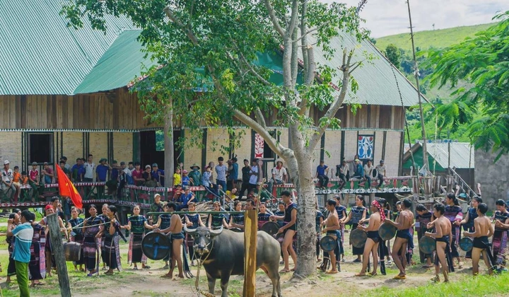 Hình Ảnh Lễ Hội Đâm Trâu Tây Nguyên: Tất Tần Tật Cho Du Khách & Người Yêu Văn Hóa Hình Ảnh Lễ Hội Đâm Trâu Tây Nguyên: Tất Tần Tật Cho Du Khách & Người Yêu Văn Hóa