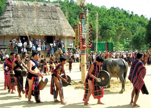 Hình Ảnh Lễ Hội Đâm Trâu Tây Nguyên: Tất Tần Tật Cho Du Khách & Người Yêu Văn Hóa Hình Ảnh Lễ Hội Đâm Trâu Tây Nguyên: Tất Tần Tật Cho Du Khách & Người Yêu Văn Hóa