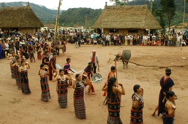 Hình Ảnh Lễ Hội Đâm Trâu Tây Nguyên: Tất Tần Tật Cho Du Khách & Người Yêu Văn Hóa Hình Ảnh Lễ Hội Đâm Trâu Tây Nguyên: Tất Tần Tật Cho Du Khách & Người Yêu Văn Hóa