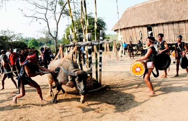 Hình Ảnh Lễ Hội Đâm Trâu Tây Nguyên: Tất Tần Tật Cho Du Khách & Người Yêu Văn Hóa Hình Ảnh Lễ Hội Đâm Trâu Tây Nguyên: Tất Tần Tật Cho Du Khách & Người Yêu Văn Hóa