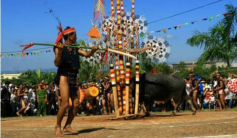 Hình Ảnh Lễ Hội Đâm Trâu Tây Nguyên: Tất Tần Tật Cho Du Khách & Người Yêu Văn Hóa Hình Ảnh Lễ Hội Đâm Trâu Tây Nguyên: Tất Tần Tật Cho Du Khách & Người Yêu Văn Hóa