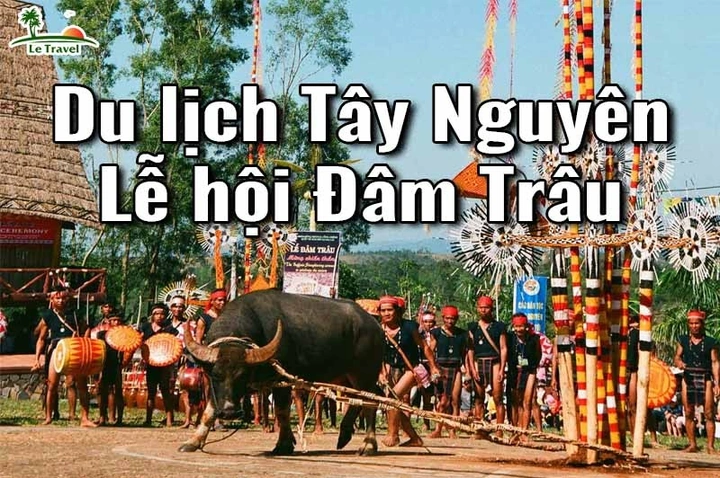 Hình Ảnh Lễ Hội Đâm Trâu Tây Nguyên: Tất Tần Tật Cho Du Khách & Người Yêu Văn Hóa Hình Ảnh Lễ Hội Đâm Trâu Tây Nguyên: Tất Tần Tật Cho Du Khách & Người Yêu Văn Hóa