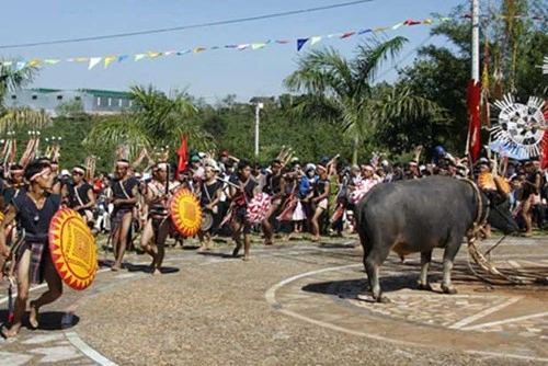 Hình Ảnh Lễ Hội Đâm Trâu Tây Nguyên: Tất Tần Tật Cho Du Khách & Người Yêu Văn Hóa Hình Ảnh Lễ Hội Đâm Trâu Tây Nguyên: Tất Tần Tật Cho Du Khách & Người Yêu Văn Hóa