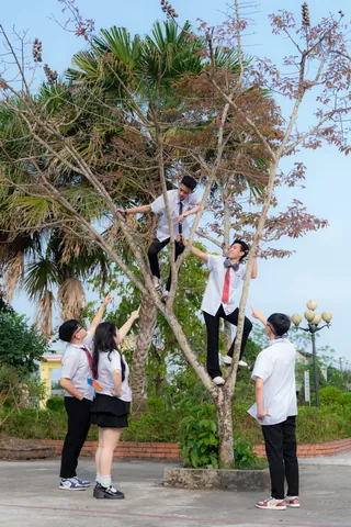 Tổng Hợp Hình Ảnh Leo Cây Miễn Phí Cho Người Yêu Cây Từ Các Loài Cây Dây Leo Đẹp