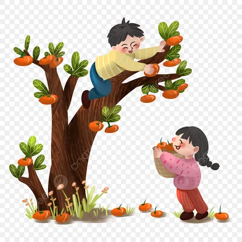 Tổng Hợp Hình Ảnh Leo Cây Miễn Phí Cho Người Yêu Cây Từ Các Loài Cây Dây Leo Đẹp