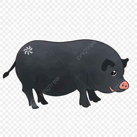Khám Phá Hình Ảnh Và Đặc Điểm Lợn Đen (lợn Mọi) Dành Cho Người Chăn Nuôi Khám Phá Hình Ảnh Và Đặc Điểm Lợn Đen (lợn Mọi) Dành Cho Người Chăn Nuôi