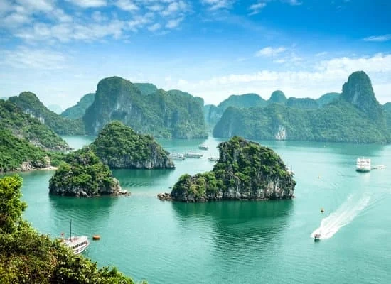 Tải Miễn Phí Và Sử Dụng Hình Ảnh Long Cho Mọi Dự Án Sáng Tạo Tải Miễn Phí Và Sử Dụng Hình Ảnh Long Cho Mọi Dự Án Sáng Tạo