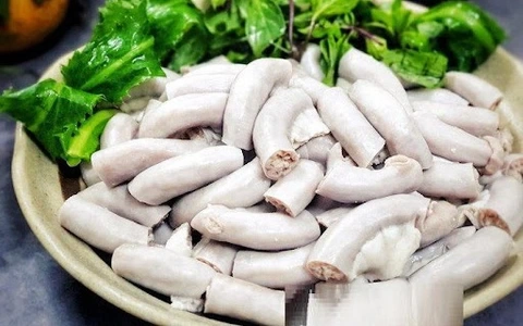 Tải Miễn Phí Và Sử Dụng Hình Ảnh Long Cho Mọi Dự Án Sáng Tạo Tải Miễn Phí Và Sử Dụng Hình Ảnh Long Cho Mọi Dự Án Sáng Tạo