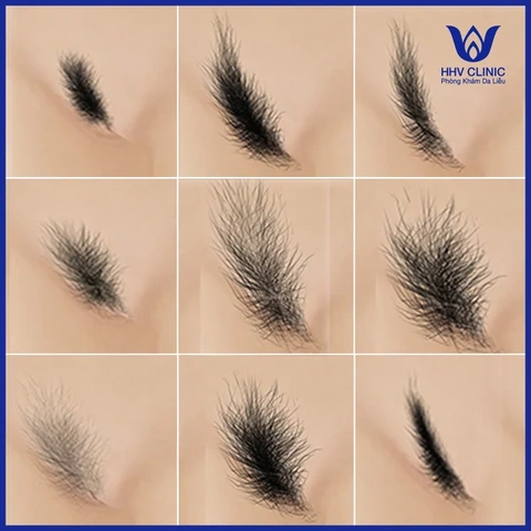 Tải Miễn Phí Và Sử Dụng Hình Ảnh Long Cho Mọi Dự Án Sáng Tạo Tải Miễn Phí Và Sử Dụng Hình Ảnh Long Cho Mọi Dự Án Sáng Tạo