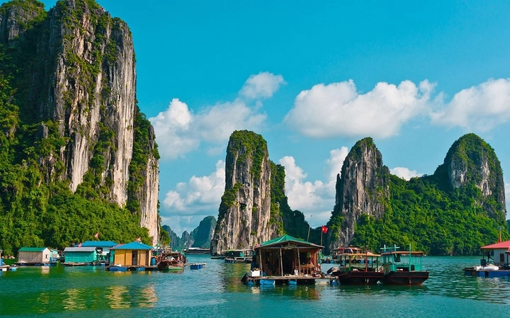 Tải Miễn Phí Và Sử Dụng Hình Ảnh Long Cho Mọi Dự Án Sáng Tạo Tải Miễn Phí Và Sử Dụng Hình Ảnh Long Cho Mọi Dự Án Sáng Tạo