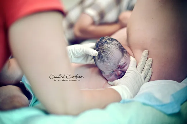 Tổng Hợp Các Biểu Đạt Nghệ Thuật Và Hình Ảnh Trực Quan Về Hình Ảnh Lòng Mẹ Cho Độc Giả Yêu Thương Mẹ Qua Thơ, Ca Khúc Và Ảnh Ngày Của Mẹ