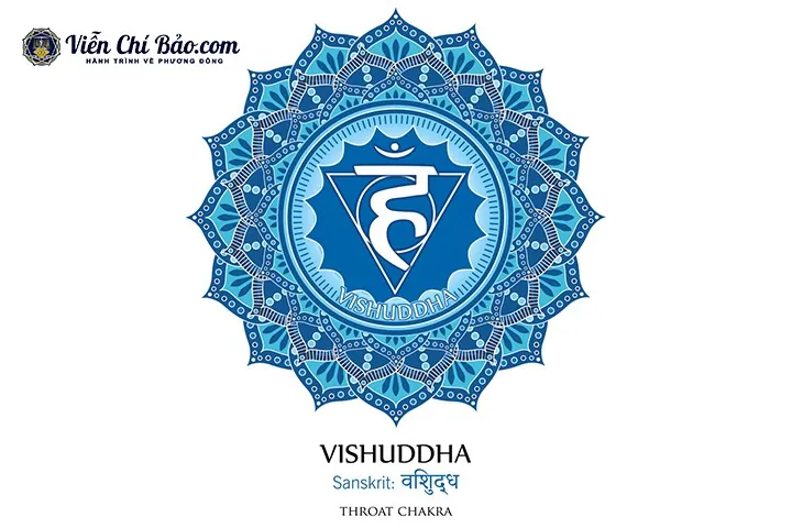 Giải Mã Ý Nghĩa Hình Ảnh Luân Xa: Biểu Tượng, Vị Trí 7 Luân Xa Chính Dành Cho Người Tập Yoga Giải Mã Ý Nghĩa Hình Ảnh Luân Xa: Biểu Tượng, Vị Trí 7 Luân Xa Chính Dành Cho Người Tập Yoga