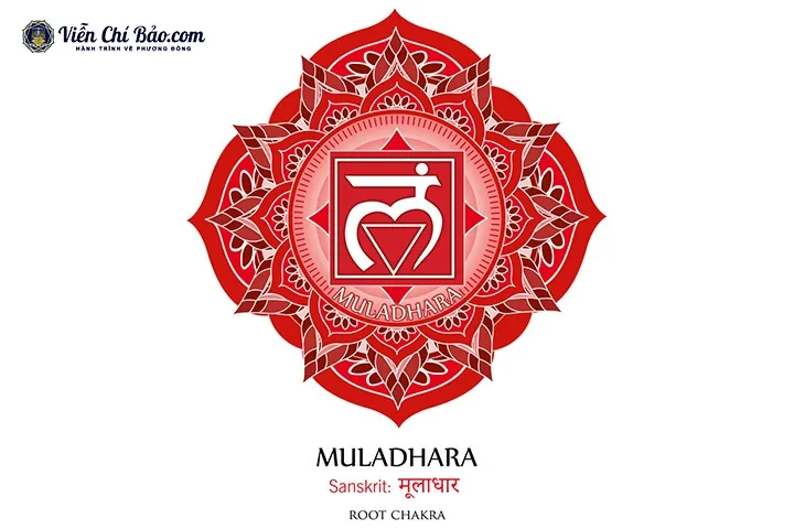 Giải Mã Ý Nghĩa Hình Ảnh Luân Xa: Biểu Tượng, Vị Trí 7 Luân Xa Chính Dành Cho Người Tập Yoga Giải Mã Ý Nghĩa Hình Ảnh Luân Xa: Biểu Tượng, Vị Trí 7 Luân Xa Chính Dành Cho Người Tập Yoga