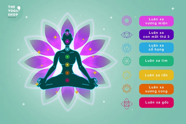 Giải Mã Ý Nghĩa Hình Ảnh Luân Xa: Biểu Tượng, Vị Trí 7 Luân Xa Chính Dành Cho Người Tập Yoga Giải Mã Ý Nghĩa Hình Ảnh Luân Xa: Biểu Tượng, Vị Trí 7 Luân Xa Chính Dành Cho Người Tập Yoga
