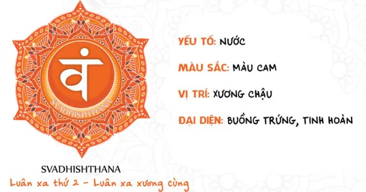 Giải Mã Ý Nghĩa Hình Ảnh Luân Xa: Biểu Tượng, Vị Trí 7 Luân Xa Chính Dành Cho Người Tập Yoga Giải Mã Ý Nghĩa Hình Ảnh Luân Xa: Biểu Tượng, Vị Trí 7 Luân Xa Chính Dành Cho Người Tập Yoga