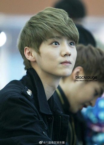 Hình Ảnh Luhan: Bộ Sưu Tập Đầy Đủ, Nguồn Gốc Bản Quyền & Tin Tức Mới Nhất Cho Fan Việt