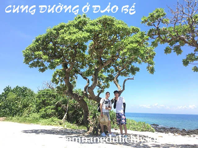 Chiêm Ngưỡng Hình Ảnh Vẻ Đẹp Thiên Nhiên Và Địa Điểm Check-in Qua Những Góc Ảnh Đảo Lý Sơn Dành Cho Du Khách Chiêm Ngưỡng Hình Ảnh Vẻ Đẹp Thiên Nhiên Và Địa Điểm Check-in Qua Những Góc Ảnh Đảo Lý Sơn Dành Cho Du Khách