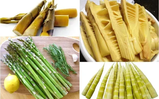Khám Phá Hình Ảnh Măng Đắng Và Đặc Điểm Loài Măng Vầu, Măng Sặt Dành Cho Người Yêu Ẩm Thực