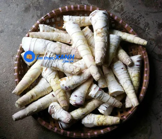 Khám Phá Hình Ảnh Măng Đắng Và Đặc Điểm Loài Măng Vầu, Măng Sặt Dành Cho Người Yêu Ẩm Thực