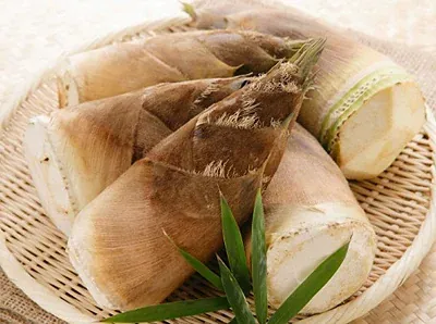 Khám Phá Hình Ảnh Măng Đắng Và Đặc Điểm Loài Măng Vầu, Măng Sặt Dành Cho Người Yêu Ẩm Thực