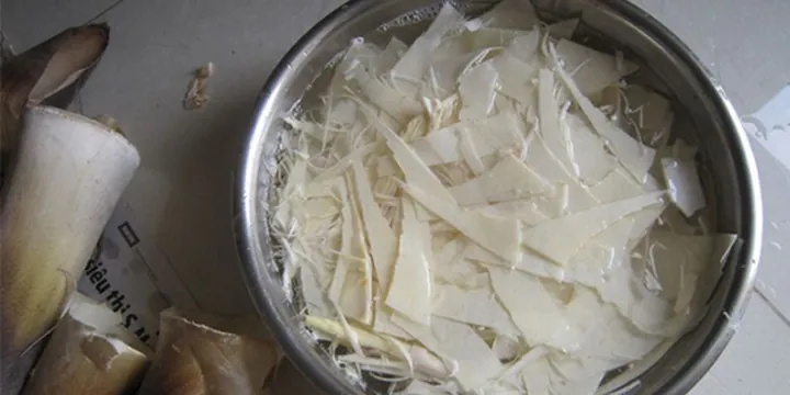 Khám Phá Hình Ảnh Măng Đắng Và Đặc Điểm Loài Măng Vầu, Măng Sặt Dành Cho Người Yêu Ẩm Thực