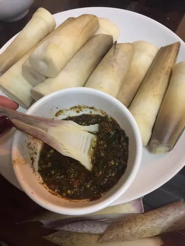 Khám Phá Hình Ảnh Măng Đắng Và Đặc Điểm Loài Măng Vầu, Măng Sặt Dành Cho Người Yêu Ẩm Thực